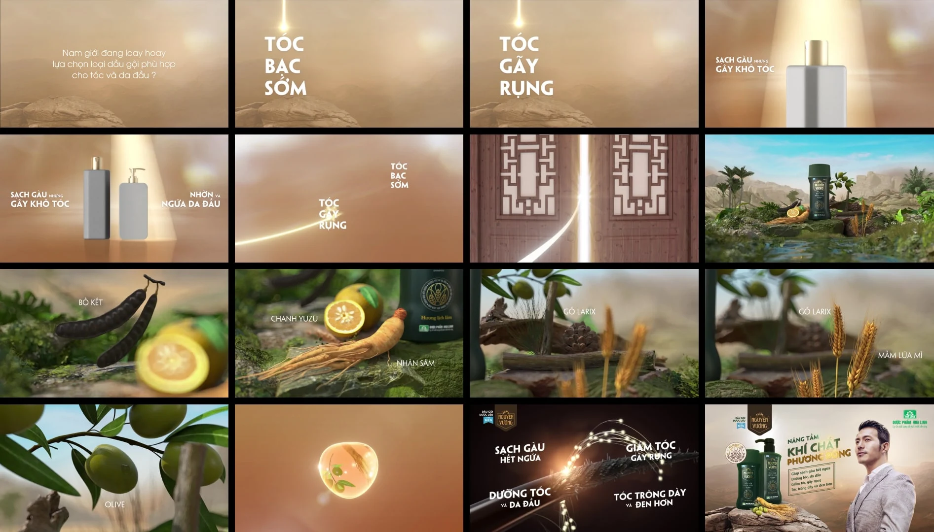 Nguyên Vương herbal ingredients and campaign communication panels